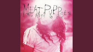 Video thumbnail of "Meat Puppets - Why?"