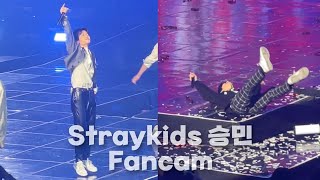 [스트레이키즈 승민] 220429 세계최초 콘서트하는 강아지 | straykids seungmin fancam