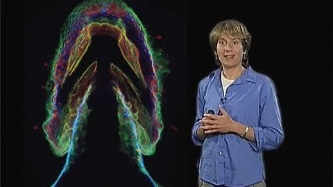Carolyn Bertozzi (UC Berkeley) Part 2: Imaging the Glycome