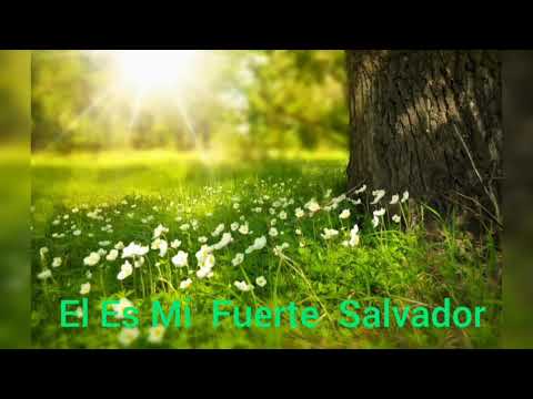 El Es Mi