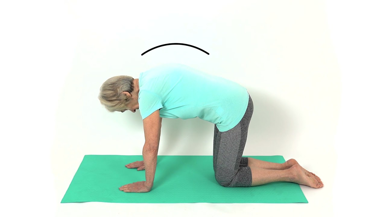 How to do the Cat Camel Stretch