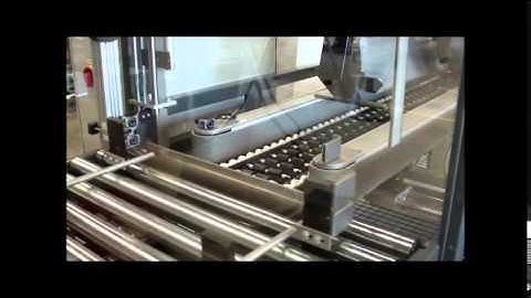 Lantech CS-1000 Automatic Case Sealer