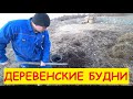 Деревенские будни / Цыплята вылупляются / Рассада растёт / Плот делаю