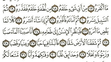 سورة عبس مكررة 2 القسم الثاني