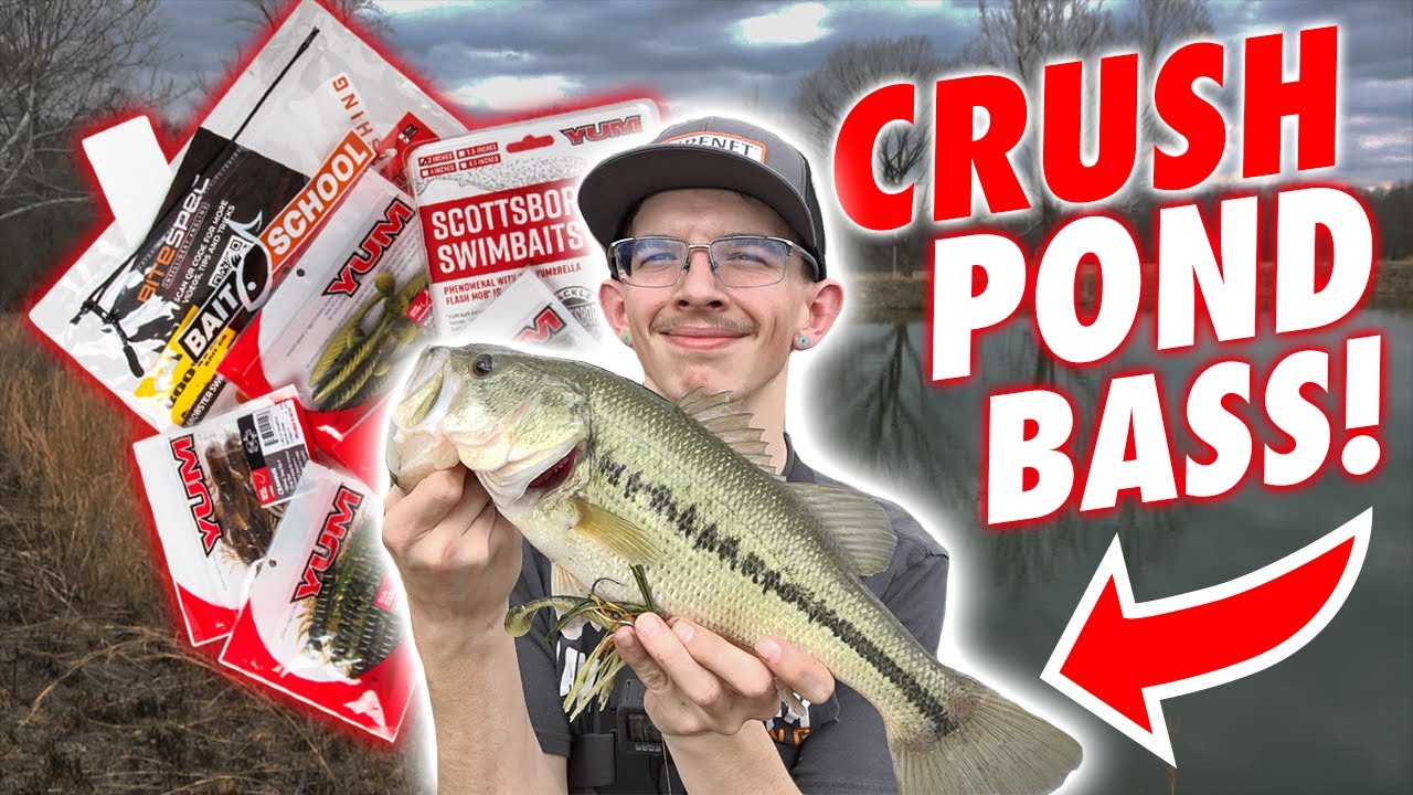 Bank Fishing Custom Soft Plastics for Pre Spawn Bass! (Bank & Creek)