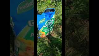 UK guerilla grow 2024 19th May