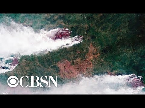 Video: Brande I Sibirien Vil Forgifte Europa: Vestlige Forskere Er Bange For Opvarmningen I Rusland - Alternativ Visning