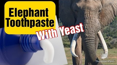 Elephant Toothpaste Using Yeast