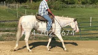 2013 APHA Mare By A Scenic Impulse - SOLD
