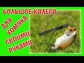 DIY - КАК СДЕЛАТЬ БОЛЬШОЕ КОЛЕСО ДЛЯ ХОМЯКА ? | ХОМЯЧОК | HOW TO MAKE A BIG WHEEL HAMSTER