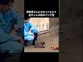 飼育員さんにかまってもらう赤ちゃんの頃の猿のパンチ君