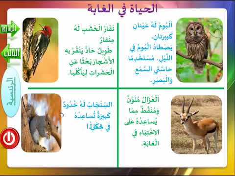 خصائص المطيره احد من الغابه تقع الغابات