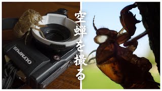 空蝉撮りならカメラはコレだ【OLYMPUS TG-4】