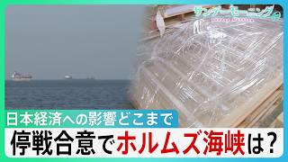 停戦合意でホルムズ海峡は？続く封鎖で日本の商社に危機感　続く価格高騰と“供給目詰まり”　日本経済への影響どこまで…【サンデーモーニング】｜TBS NEWS DIG