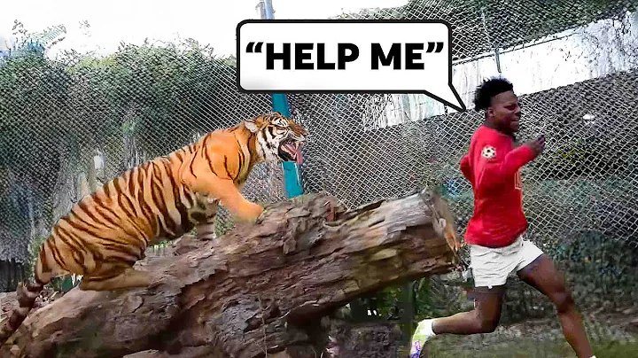 Streamers Who Messed With The Wrong Animals... (IShowSpeed)