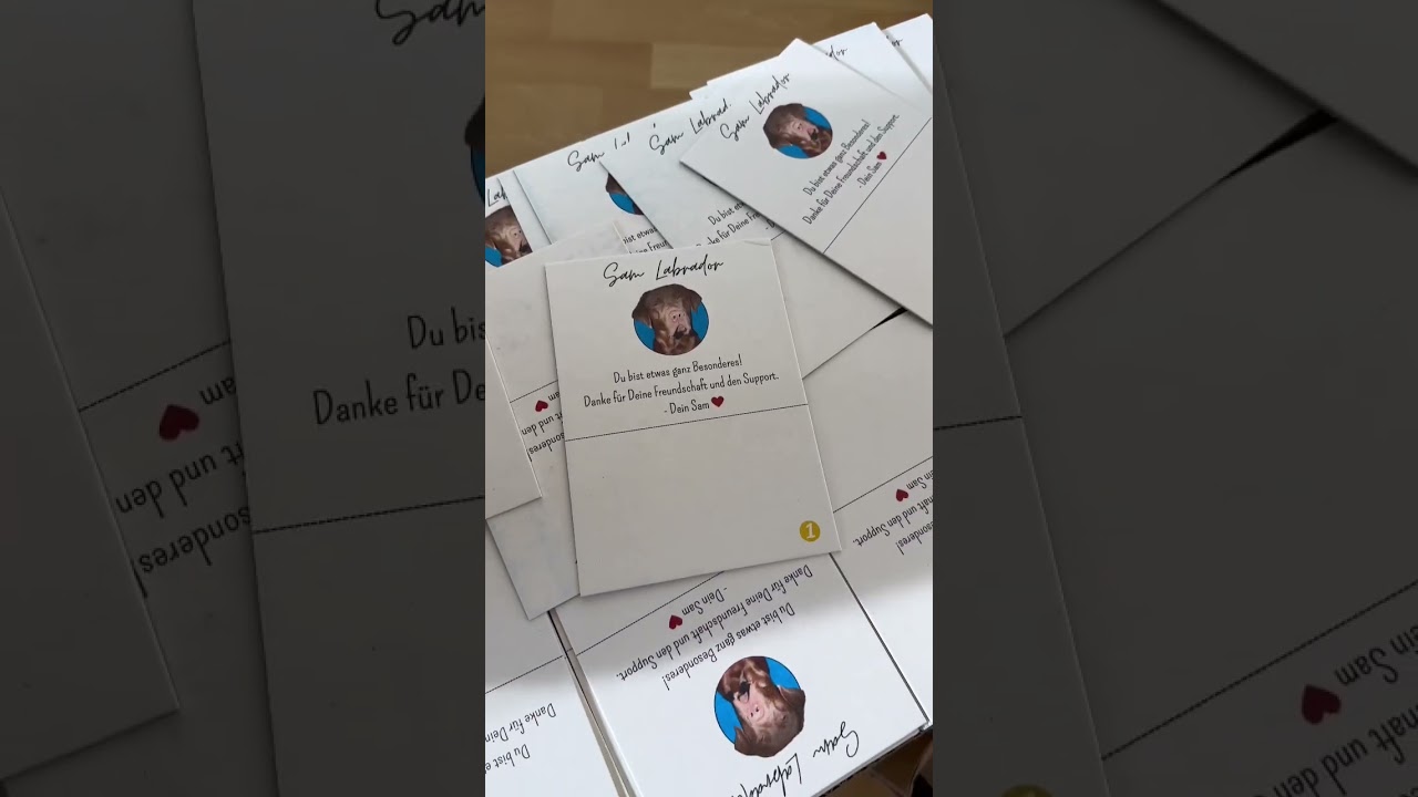 Paket f&uuml;r meinen Hund 🐶 #samlabrador #dogsofyoutube