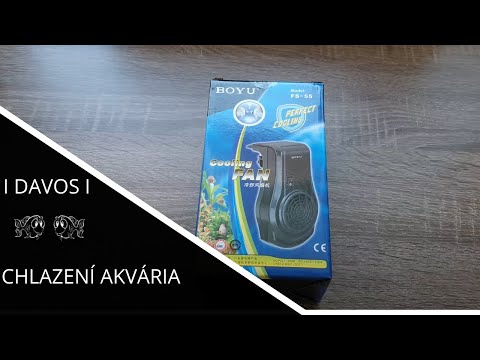 Video: Jak Ochladit Akvarijní Vodu