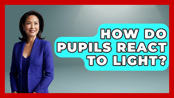 How Do Pupils React to Light? - Optometry Knowledge Base