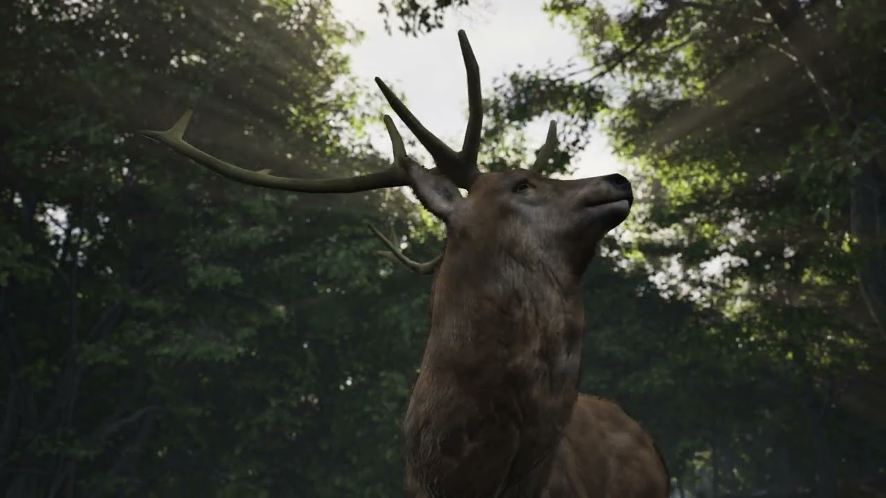 Sharon Van Etten "Come Back"