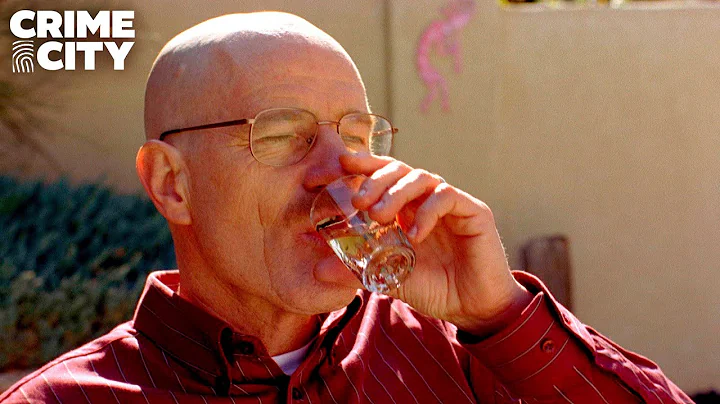 Breaking Bad | Walt Has Too Much to Drink (Bryan C...
