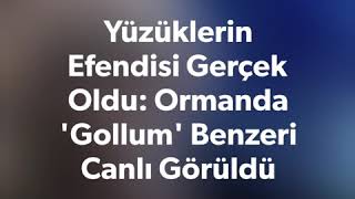 Yüzüklerin Efendisi Gerçek Oldu