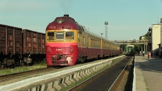 [ЧФМ] Дизель-поезд Д1-800 на ст. Белць-Слобозия / [CFM] D1-800 DMU at Balti-Slobozia station