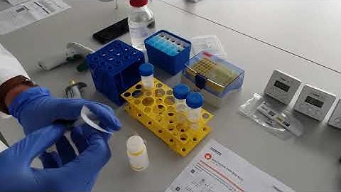 Rapid Testing Methods & their Performance for Mycotoxin Control, Kai Pumpa,James Szimeth, r-Biopharm