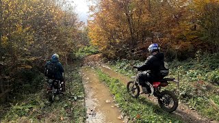 Езда по лесу на мотоциклах эндуро