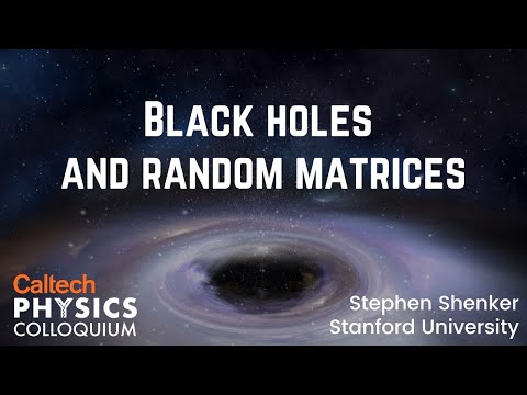 Black Holes and