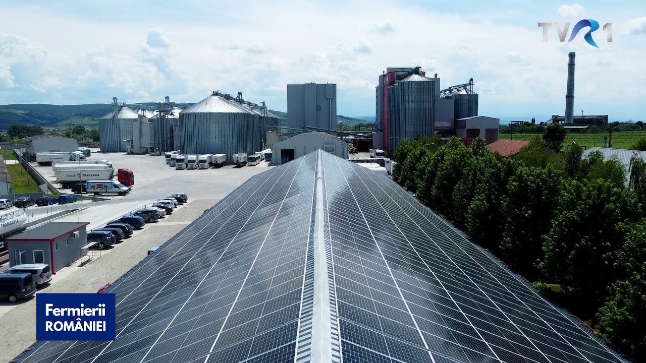 Cel mai mare parc fotovoltaic din industria alimentară, la Transavia
