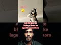 Aei dui janu ko bhitoru bhola ke laguchi comment koro 🤔