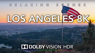Driving Los Angeles in 8K HDR Dolby Vision  MidCity to Hollywood Hills Wisdom Tree