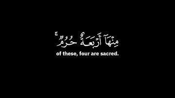ان عدة الشهور عند الله اثنا عشر شهرا | عبدالله الموسى - الآية 36 من سورة التوبة ( شاشة سوداء )