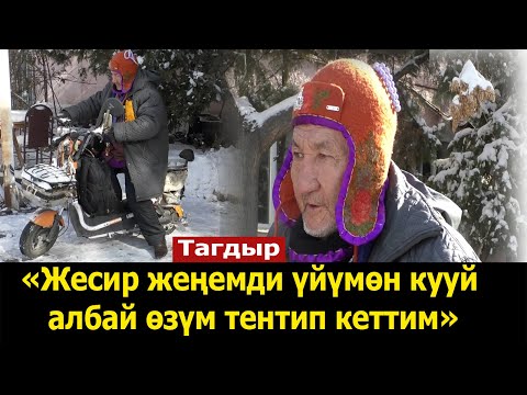 Video: Желеден жасалган этти башыңыздан кантип бышырасыз