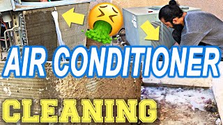 Air Conditioner Cleaning! SATISFYING Central Air Conditioner Condenser Coil Cleaning | Tall Guy