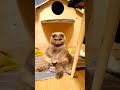 😺Сижу😺