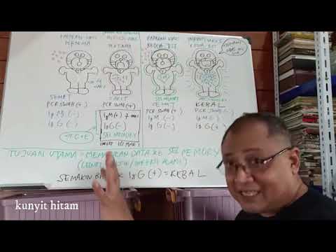 Rapid Test Antibody Menunjukkan Kekebalan, bukan infeksi virus copy