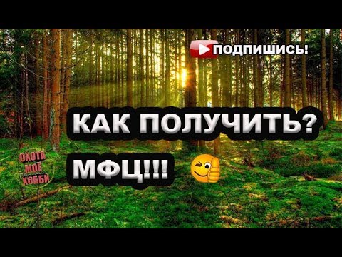 Получить видео 3