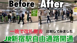 【徹底比較】JR新宿駅東西自由通路【思った以上に便利】