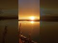 Sunrise on the Kenai River #alaska #offgrid #offgridliving #offroad