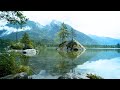 Calming music for deep sleep  meditation  stop overthinking stress relief music relaxing music