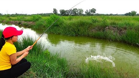 terrible cat fishing girl in Ditch water, cô gái câu cá trê khủng ở mương nước.
