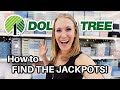 Find DOLLAR TREE JACKPOTS in ANY store! 🤯 (genius secrets from a pro for 2021!)