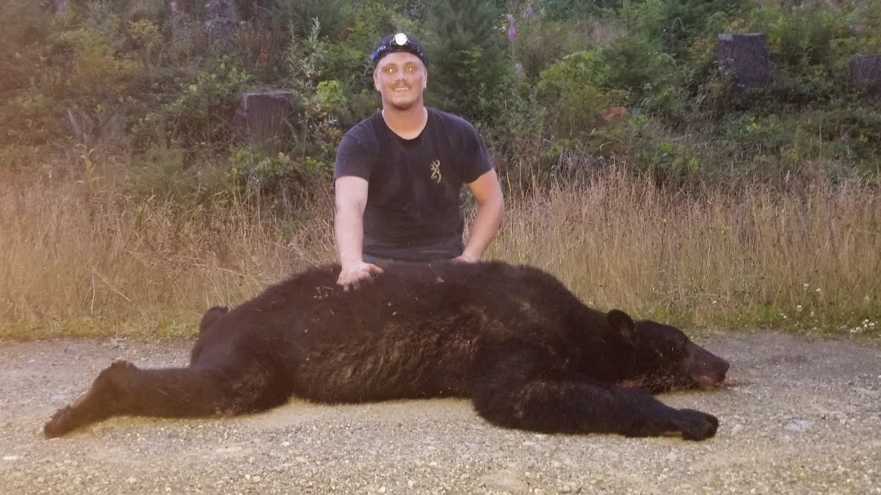 2019 Washington State Black Bear hunt YouTube