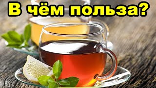 Какую пользу для организма приносит чай?