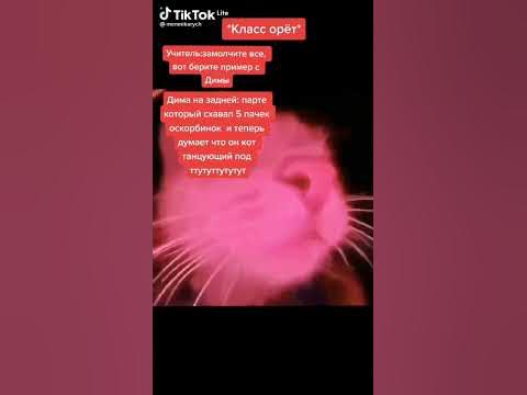 Танцующий кот #Тикток #кот #Тиктоклайт - YouTube