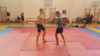 mahmud handžić absolute bushido academy sarajevo gen shin kan world cup 2015 croatia split
