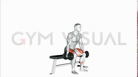 Dumbbell Bench Squat