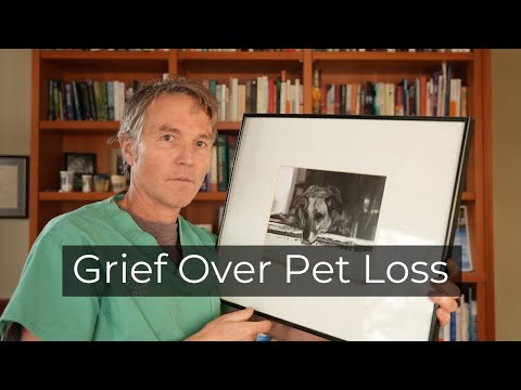 Video: 8 veidi, kā palīdzēt savam sunim tikt galā ar ģimenes zaudējuma zudumu