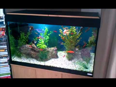 125 Litre Aquarium 3 - YouTube